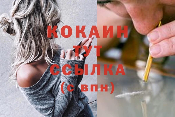 ПСИЛОЦИБИНОВЫЕ ГРИБЫ Навашино