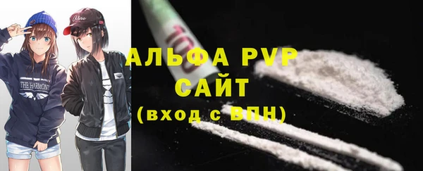молекула духа Надым