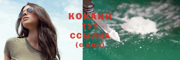 ПСИЛОЦИБИНОВЫЕ ГРИБЫ Навашино