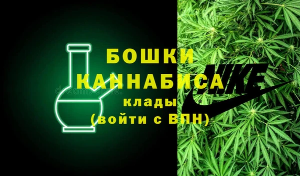 молекула духа Надым