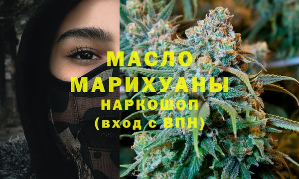 молекула духа Надым