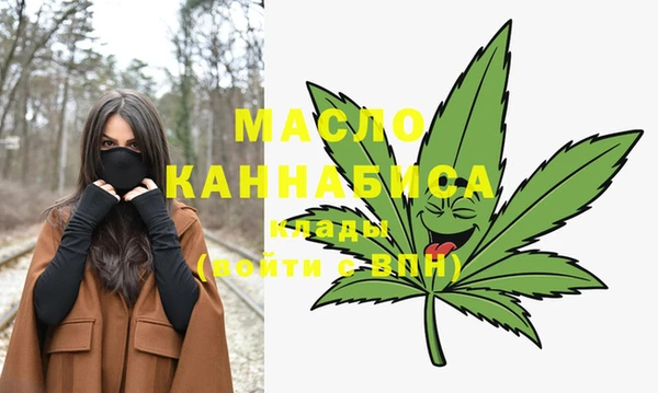 молекула духа Надым