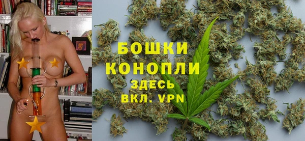 ПСИЛОЦИБИНОВЫЕ ГРИБЫ Навашино